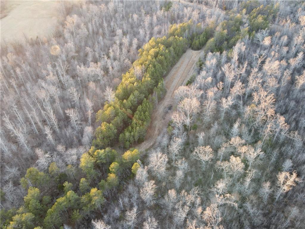 1500 Wiley Lewis Road Greensboro, NC 27406 - Photo 4 of 13