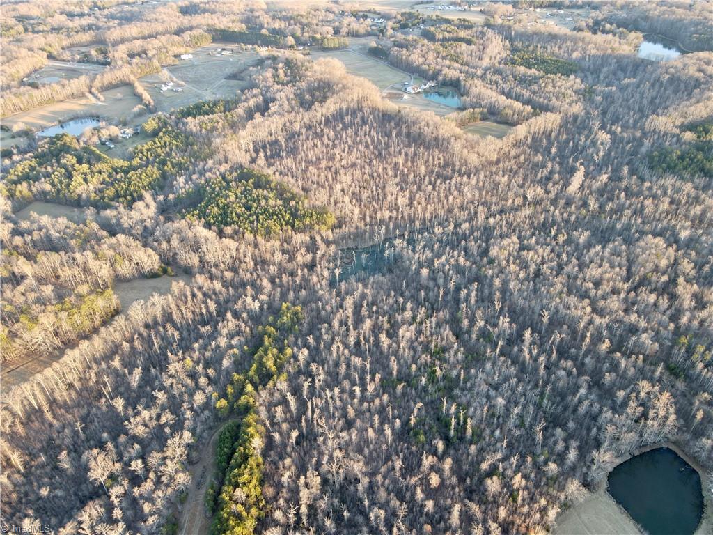 1500 Wiley Lewis Road Greensboro, NC 27406 - Photo 7 of 13