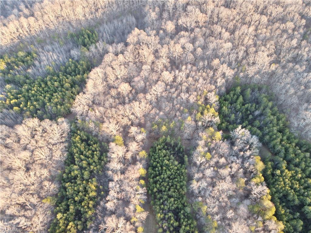 1500 Wiley Lewis Road Greensboro, NC 27406 - Photo 10 of 13