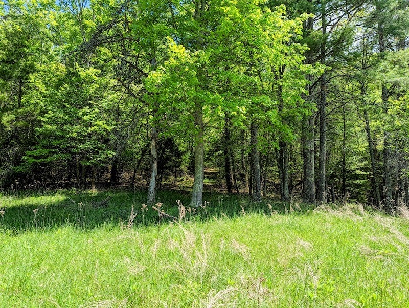 Tbd Deepwater Road Indian Valley, VA 24105 - Photo 6 of 30 Gallery Image 6