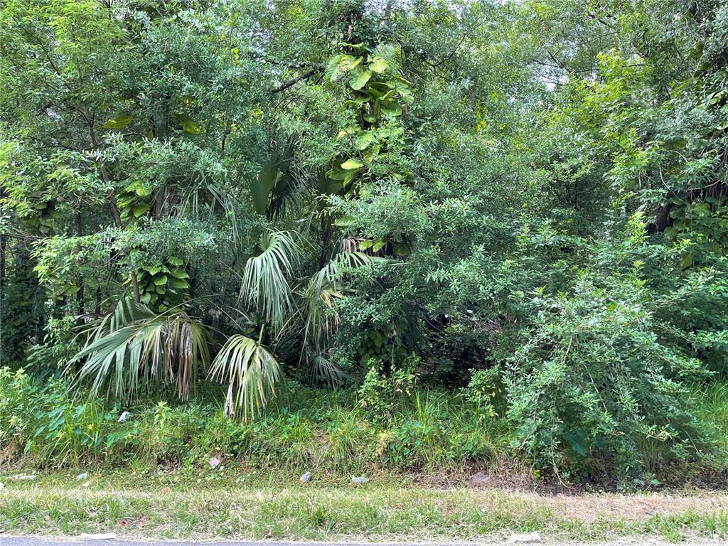 Lebanon Road Lakeland, FL 33815 - Photo 1 of 1 Gallery Image 1