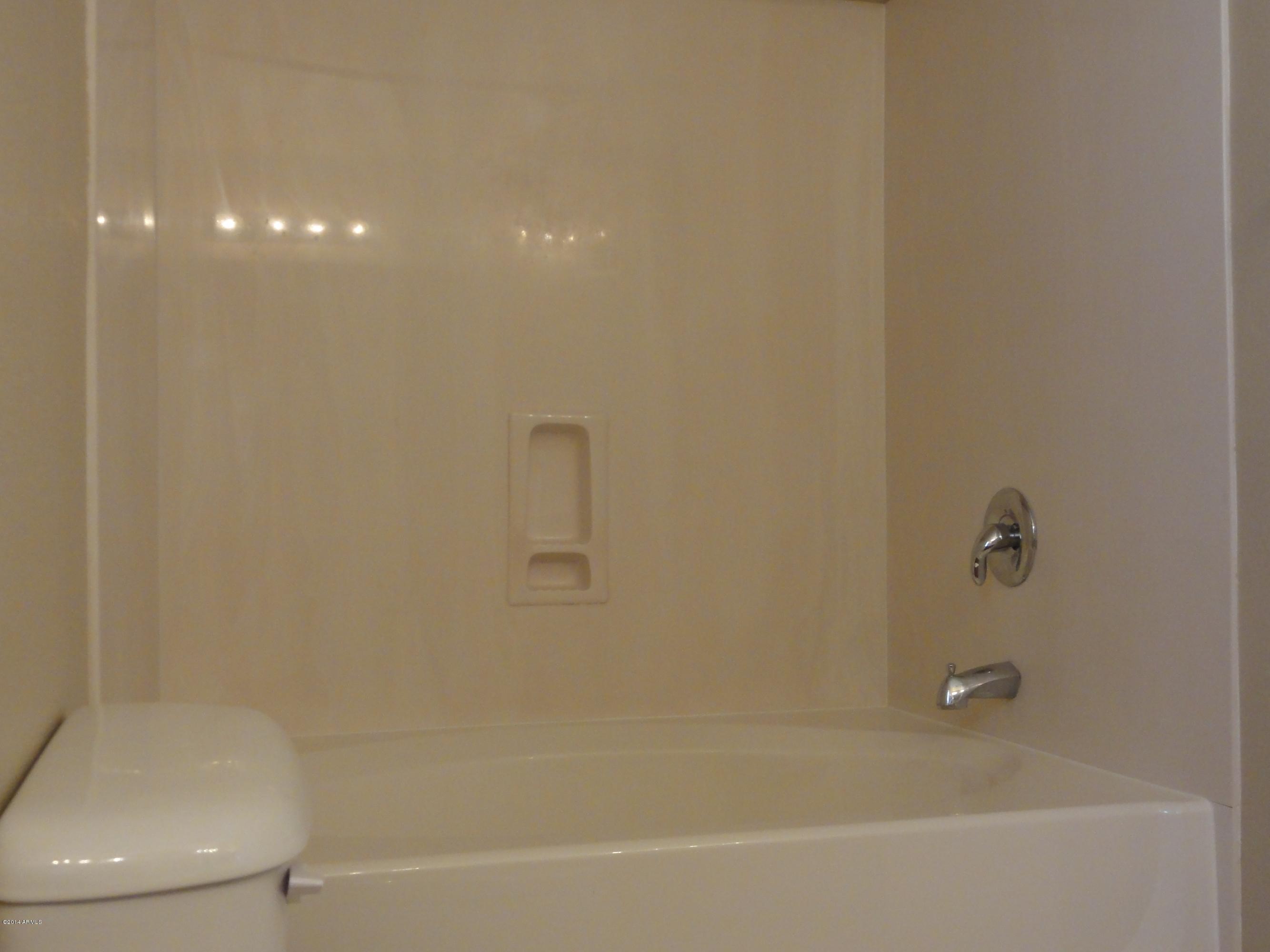 17516 West Calavar Road Surprise, AZ 85388 - Photo 9 of 17 Master Bath Tub