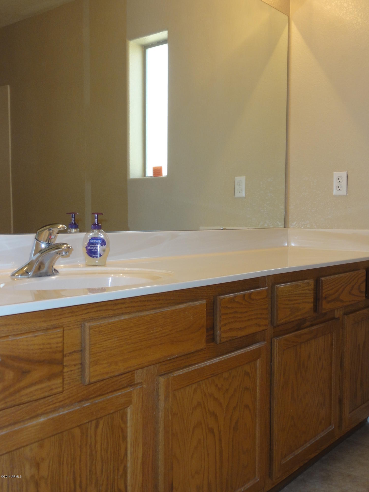 17516 West Calavar Road Surprise, AZ 85388 - Photo 10 of 17 Master Bath