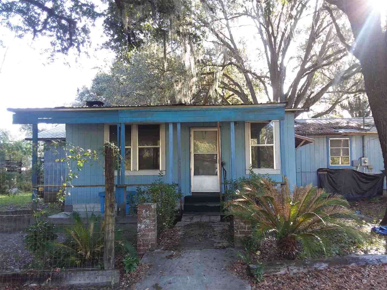 113 Southwest Webster Road Mayo, FL 32066 - Photo 23 of 23 Gallery Image 23