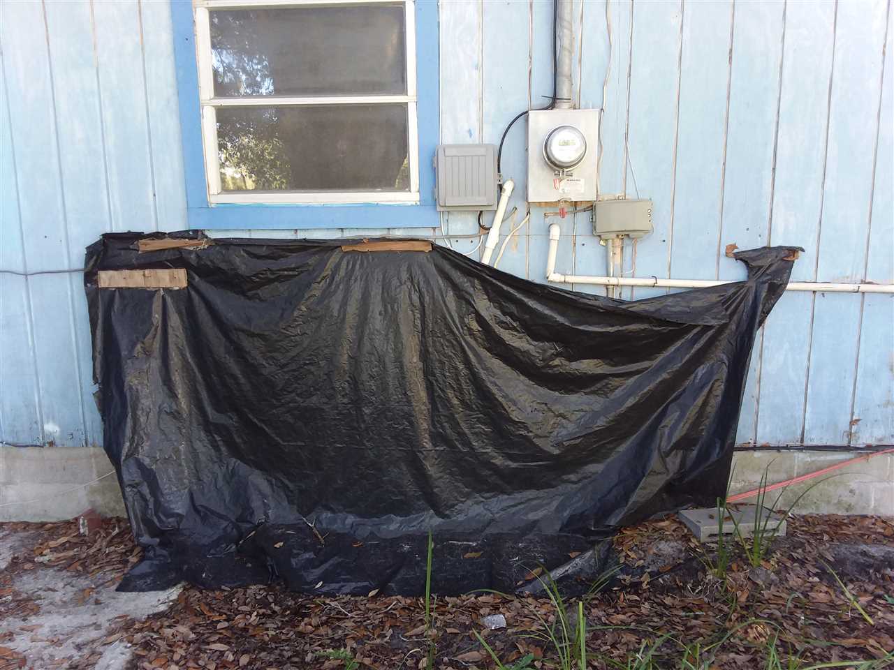 113 Southwest Webster Road Mayo, FL 32066 - Photo 4 of 23 Gallery Image 4