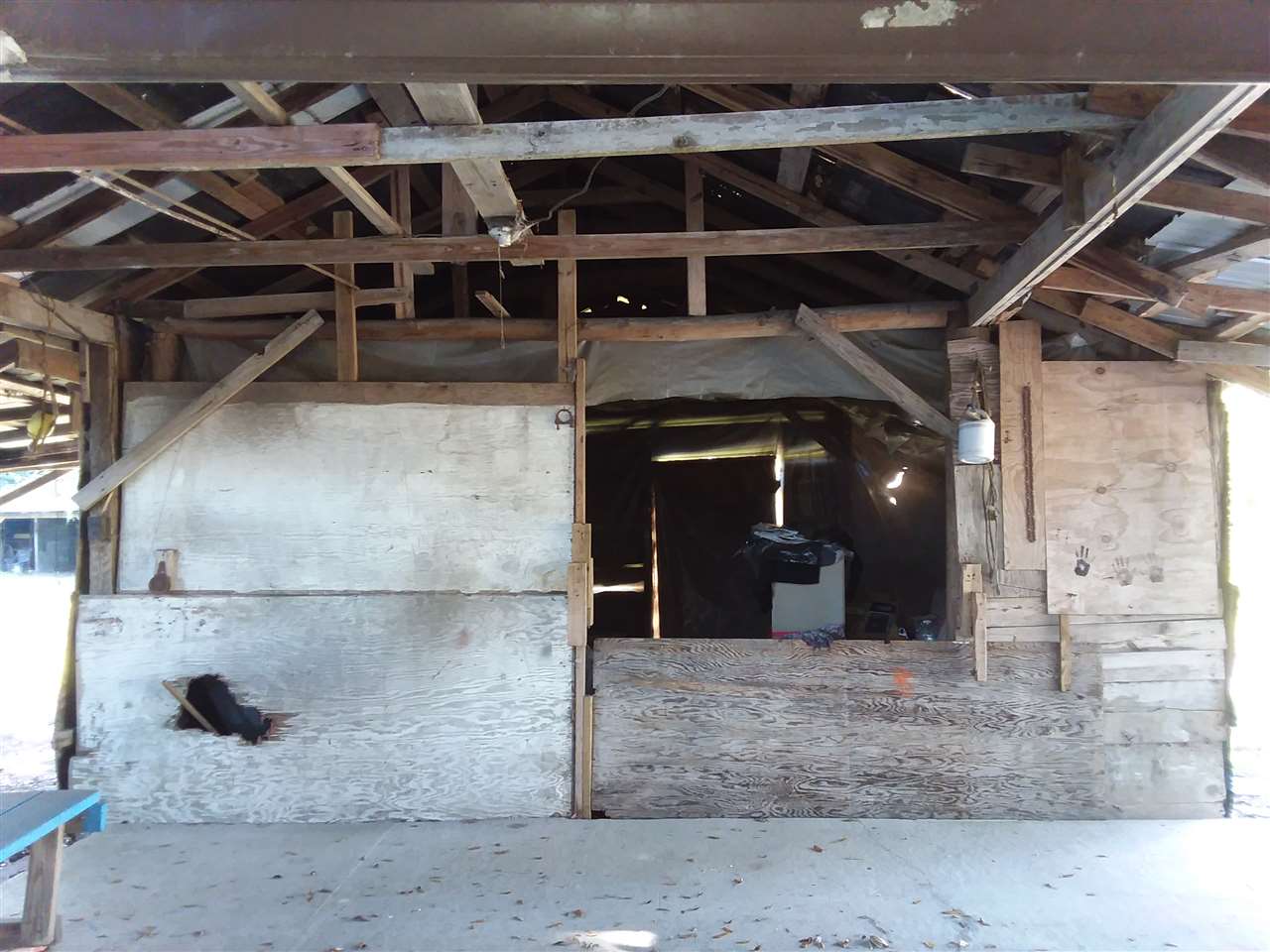113 Southwest Webster Road Mayo, FL 32066 - Photo 5 of 23 Gallery Image 5