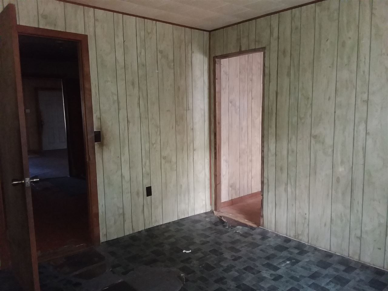 113 Southwest Webster Road Mayo, FL 32066 - Photo 7 of 23 Gallery Image 7