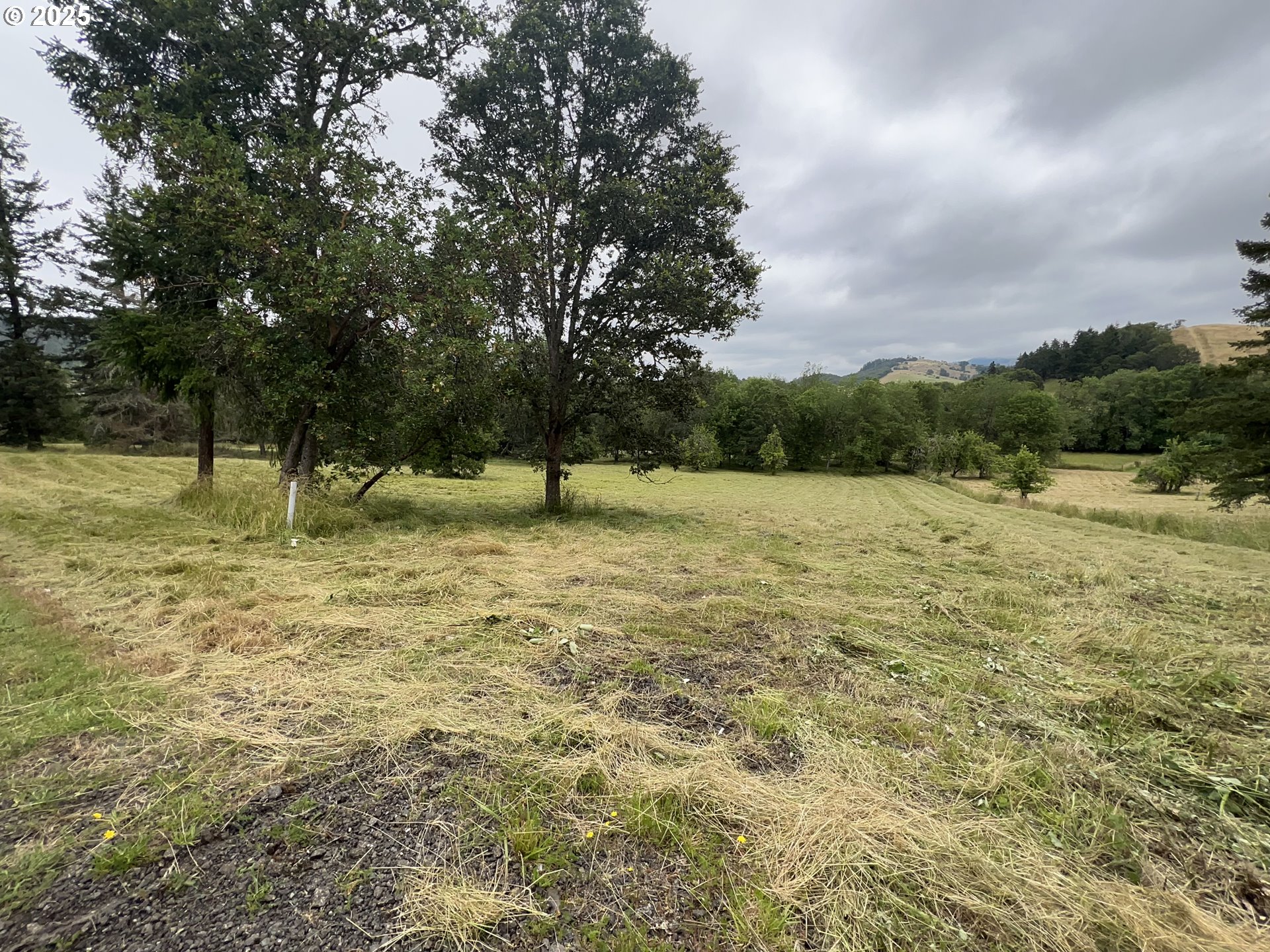 1942 Glengary Loop Road Roseburg, OR 97470 - Photo 4 of 10 Gallery Image 4