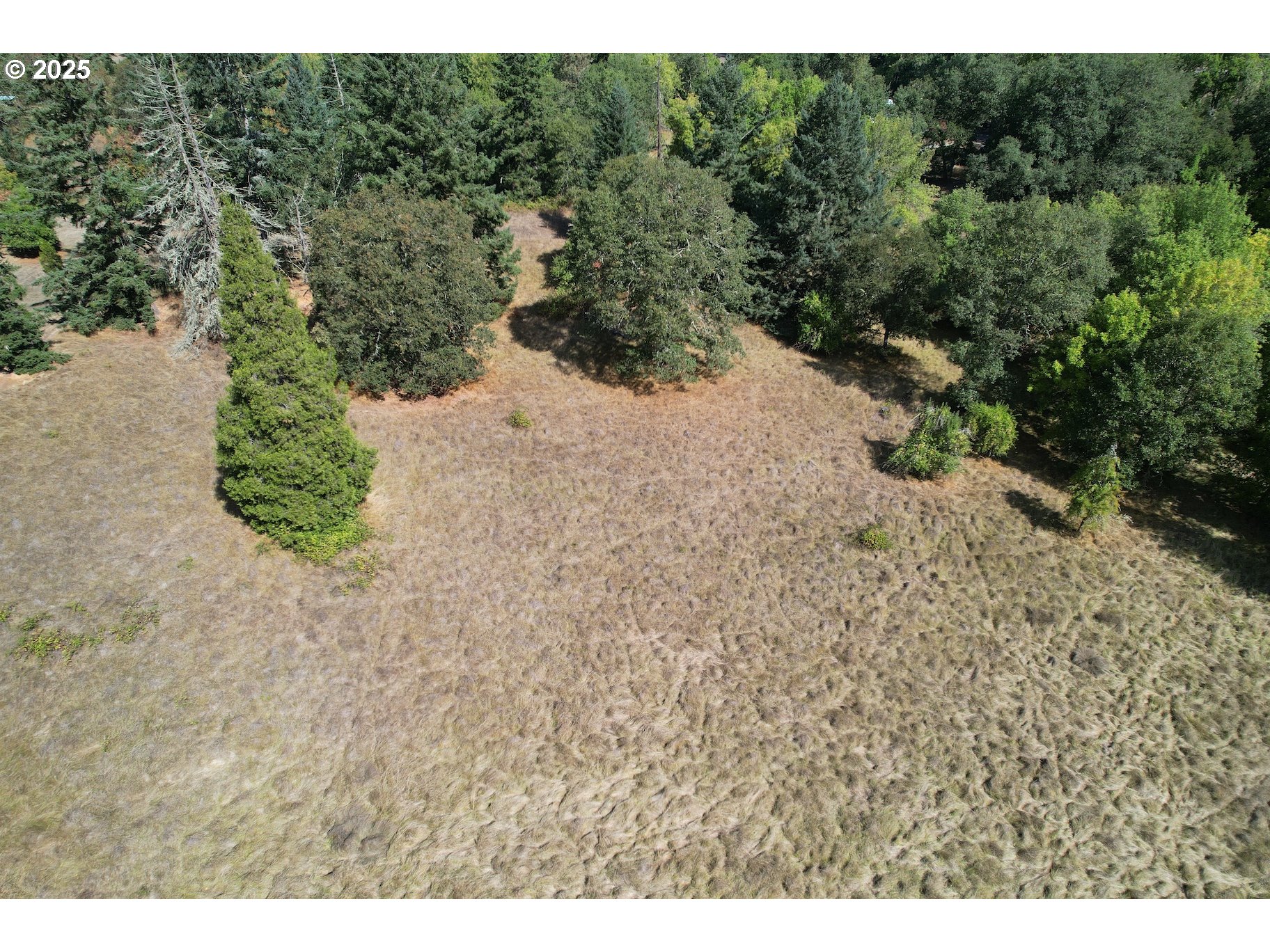 1942 Glengary Loop Road Roseburg, OR 97470 - Photo 6 of 10 Gallery Image 6