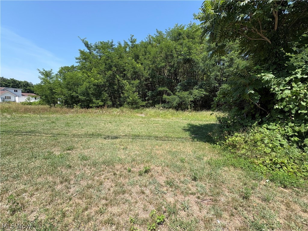 5395 North Ridge Road Madison, OH 44057 - Photo 5 of 7