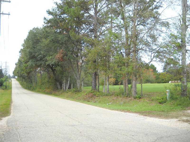 0 La Tung Road Folsom, LA 70437 - Photo 1 of 5 Gallery Image 1