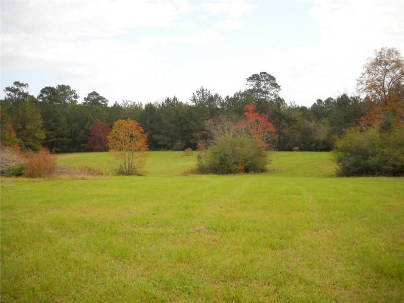 0 La Tung Road Folsom, LA 70437 - Photo 3 of 5 Gallery Image 3