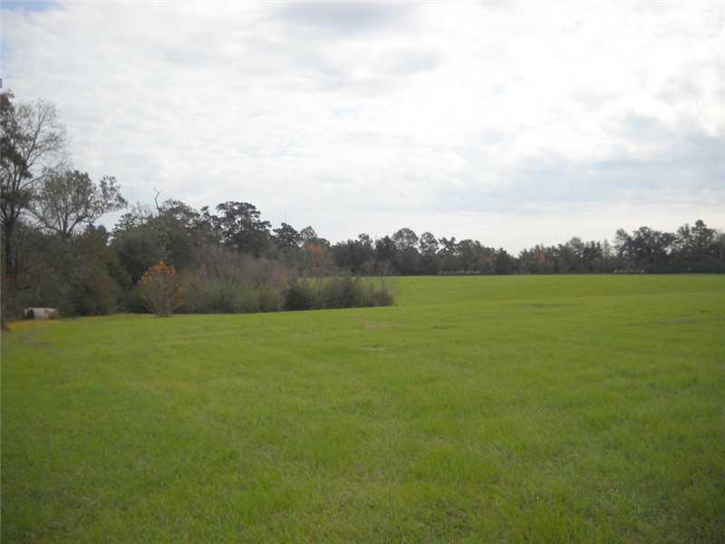 0 La Tung Road Folsom, LA 70437 - Photo 4 of 5 Gallery Image 4