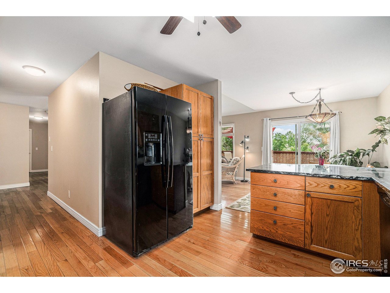 5942 Colby Street Fort Collins, CO 80525 - Photo 4 of 29