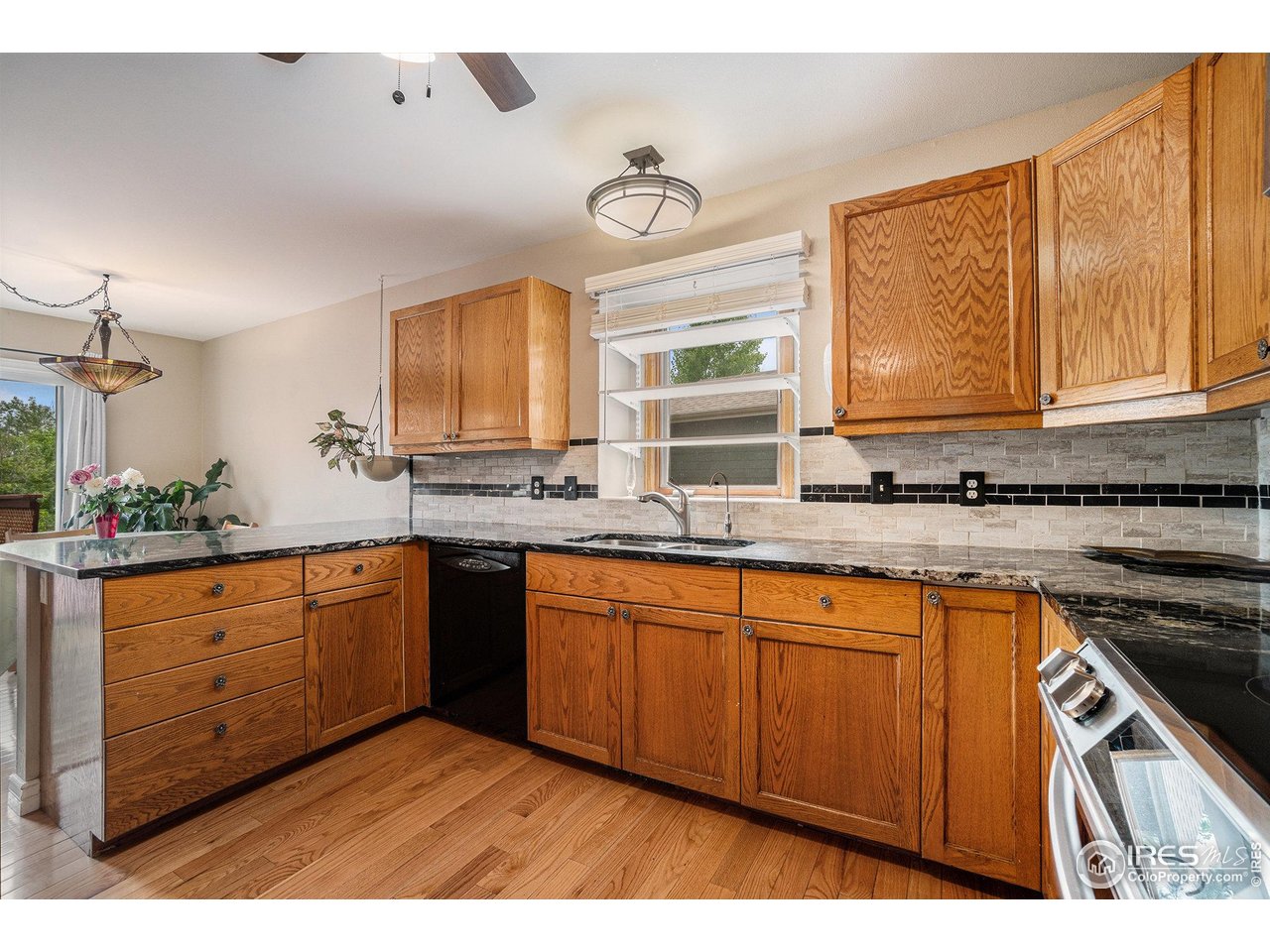 5942 Colby Street Fort Collins, CO 80525 - Photo 5 of 29