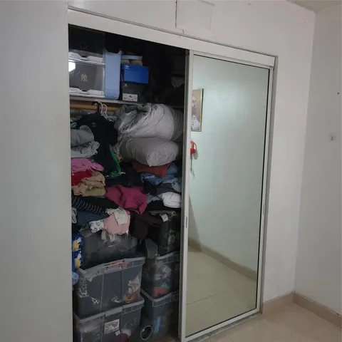 a view of a palm plant that is in front of a house