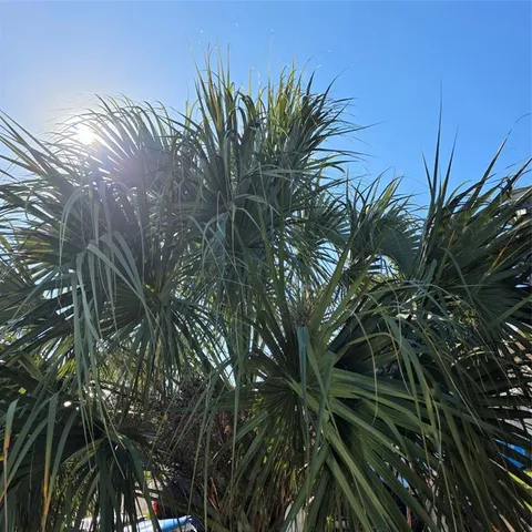 a view of painting and wooden floor