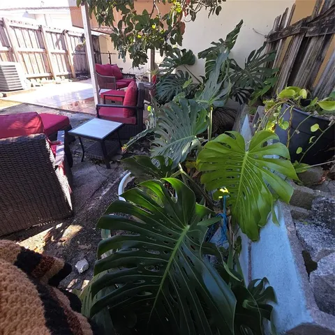 a view of a flower in a garden