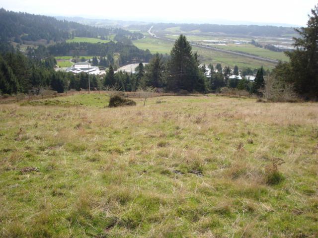 0 Berta Road Eureka, CA 95503 - Photo 16 of 20