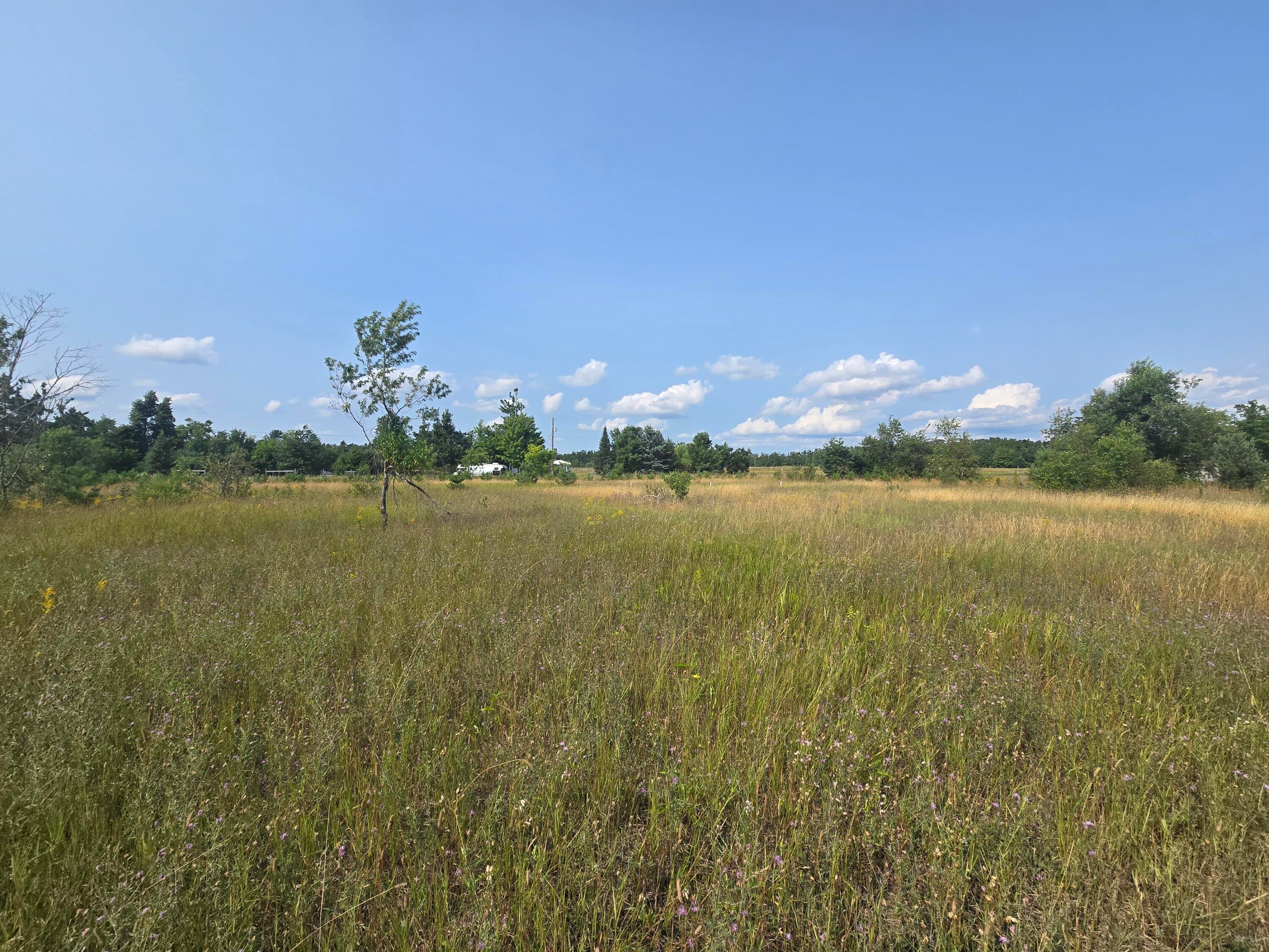 2915 Ordway Road Gaylord, MI 49735 - Photo 1 of 16 Gallery Image 1