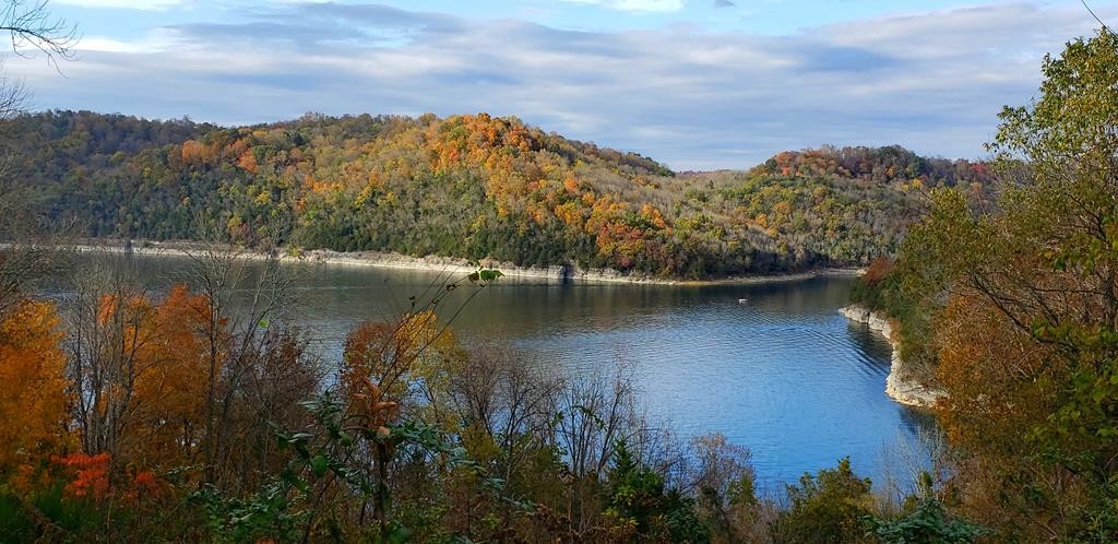 84 Harbor Pointe Drive Silver Point, TN 38582 - Photo 6 of 7