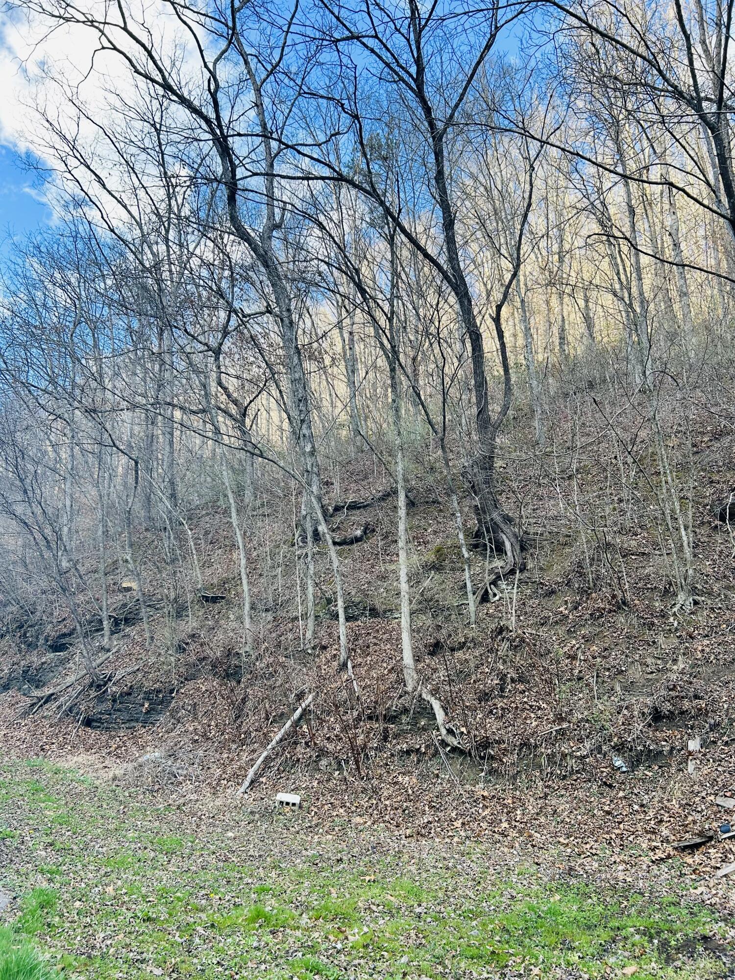 0 Sam Bowling Road Manchester, KY 40962 - Photo 1 of 4 4D595961-AD24-4A1A-8079-C9EB846AD24D