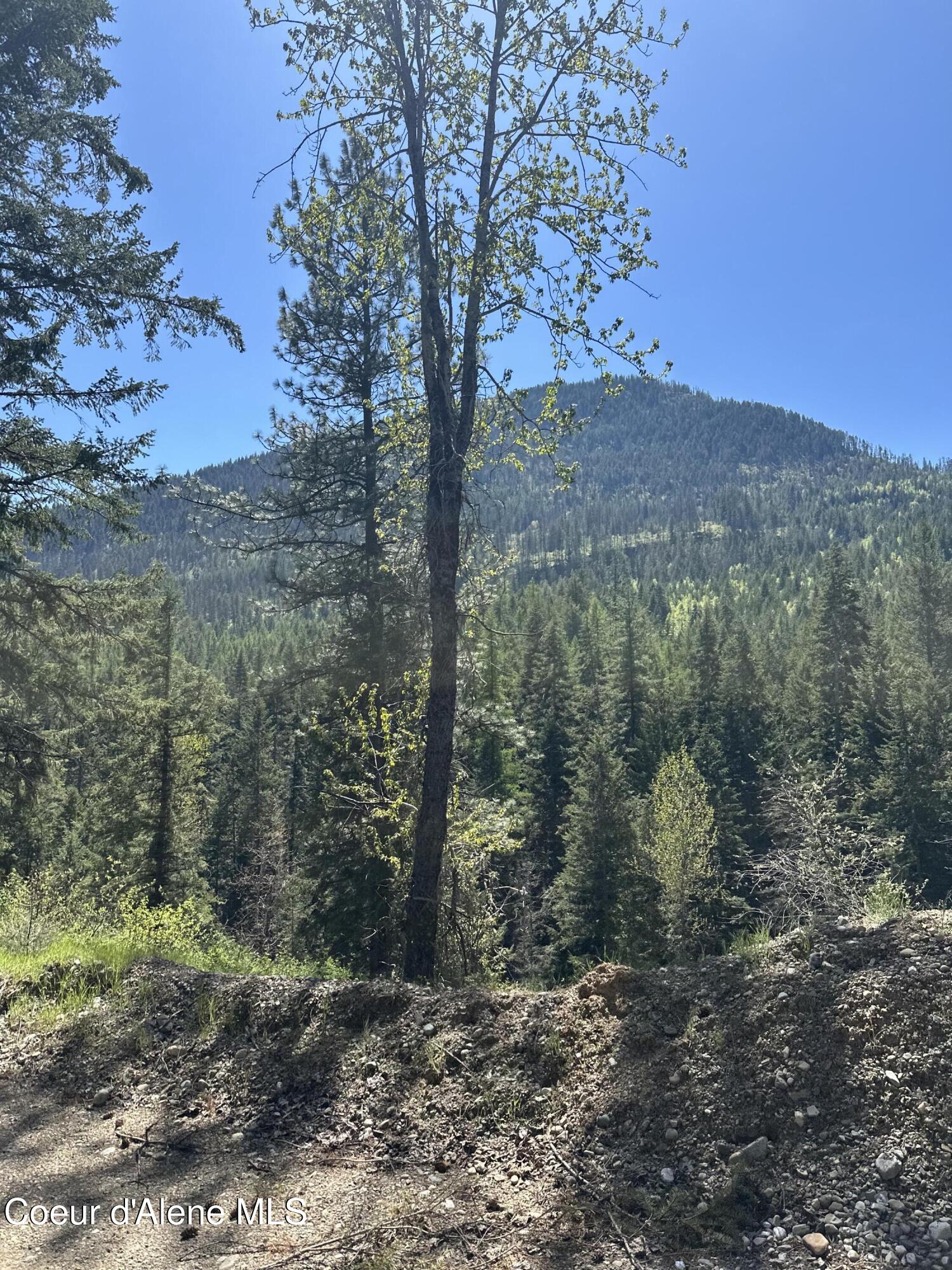 5784 River Road Clark Fork, ID 83811 - Photo 3 of 11 Property views