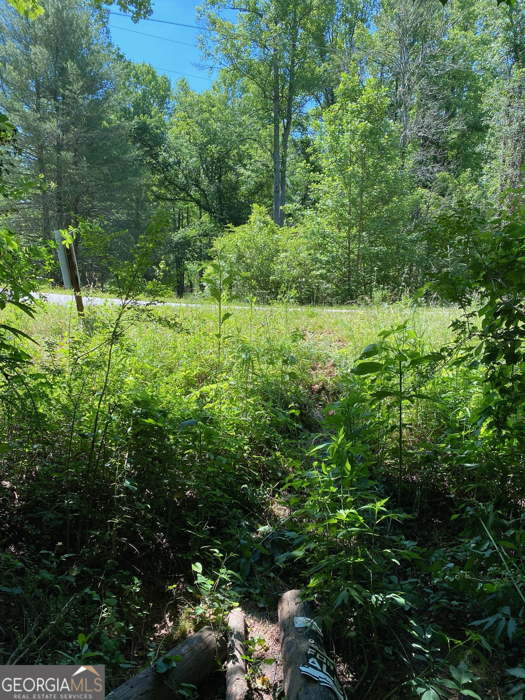0 Hardman Road Sautee Nacoochee, GA 30571 - Photo 3 of 16