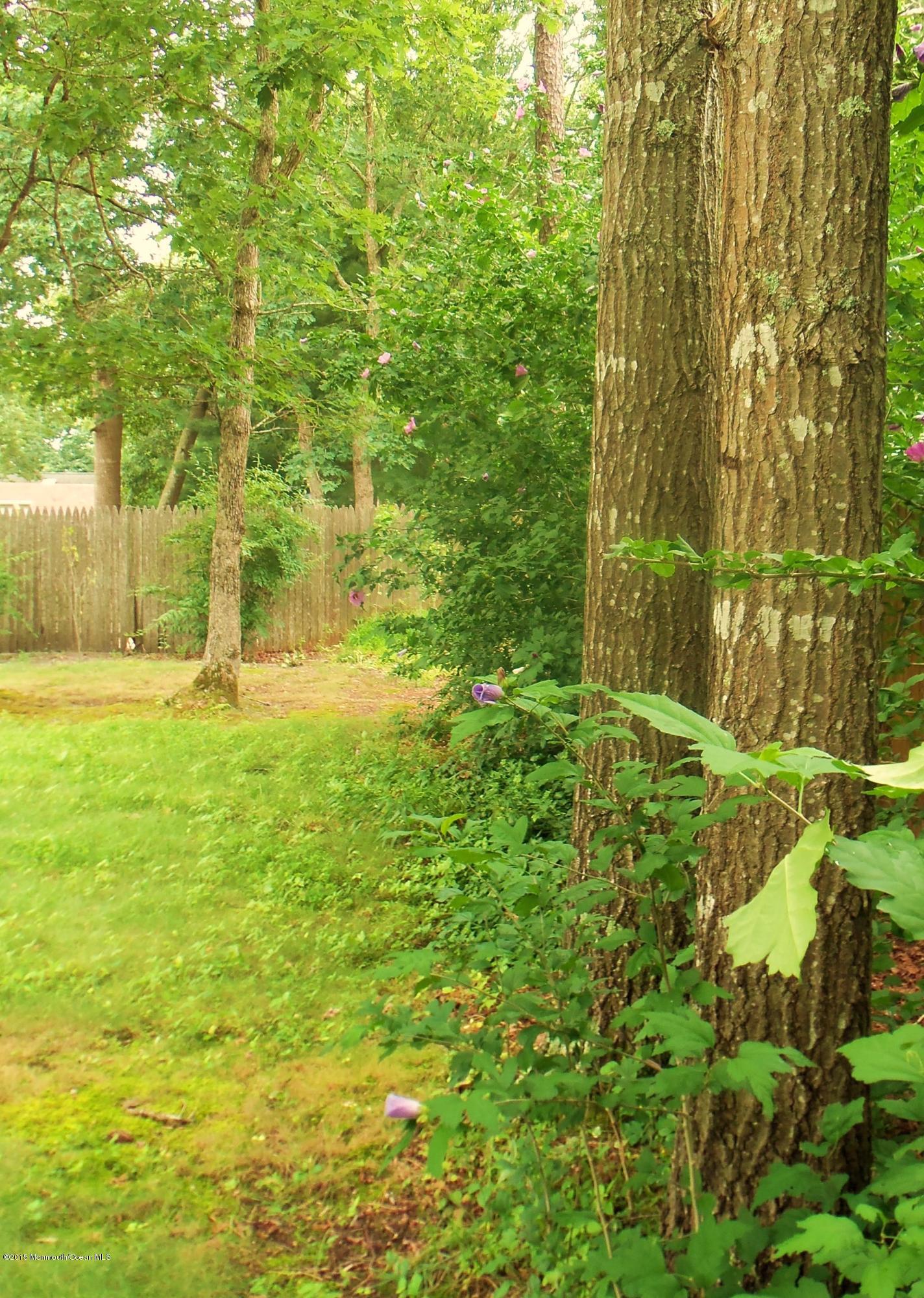 117 Captain Road Manahawkin, NJ 08050 - Photo 23 of 25 100_2398.JPG