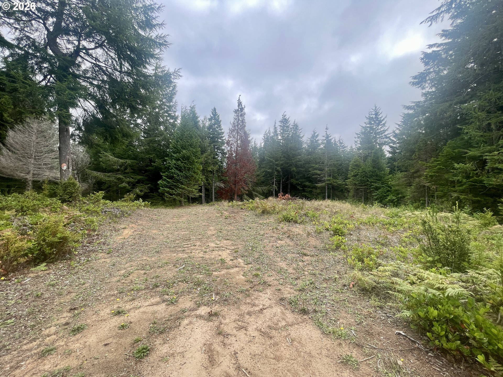 Sandpoint Road North Bend, OR 97459 - Photo 20 of 29 Gallery Image 20