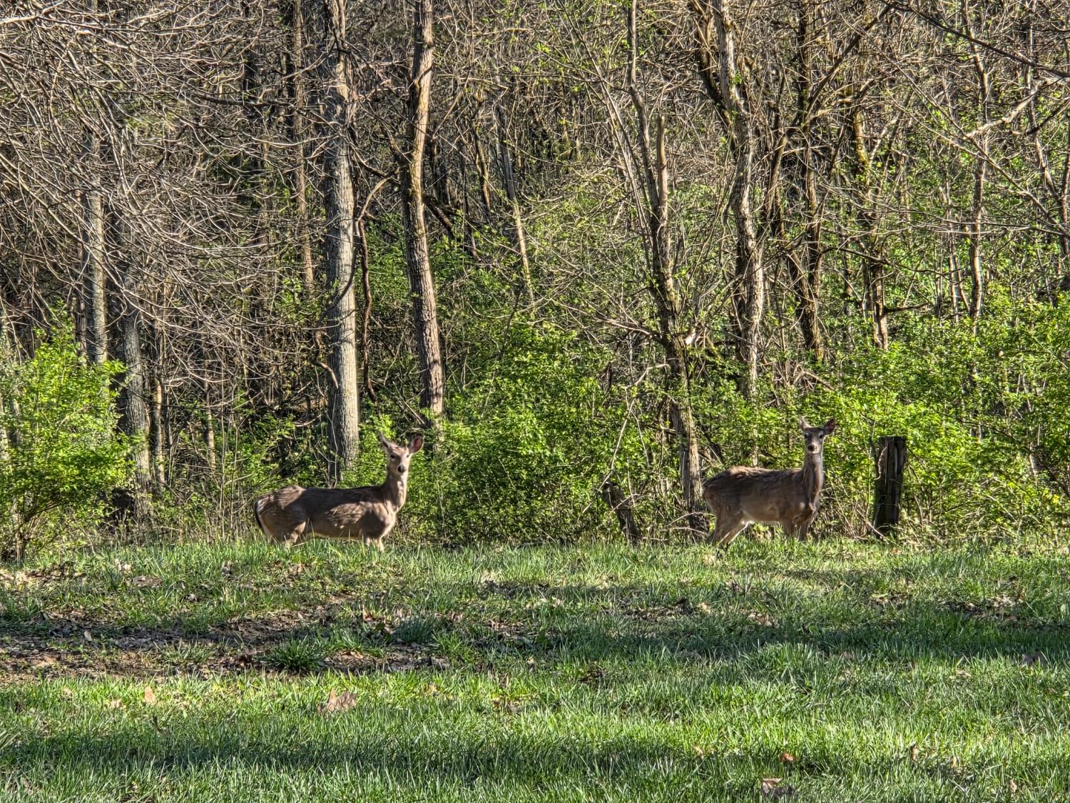18180 Boone Robinson Road Patriot, IN 47038 - Photo 38 of 40