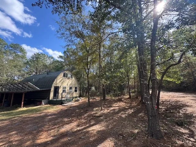 a view of a tree in the middle of a yard