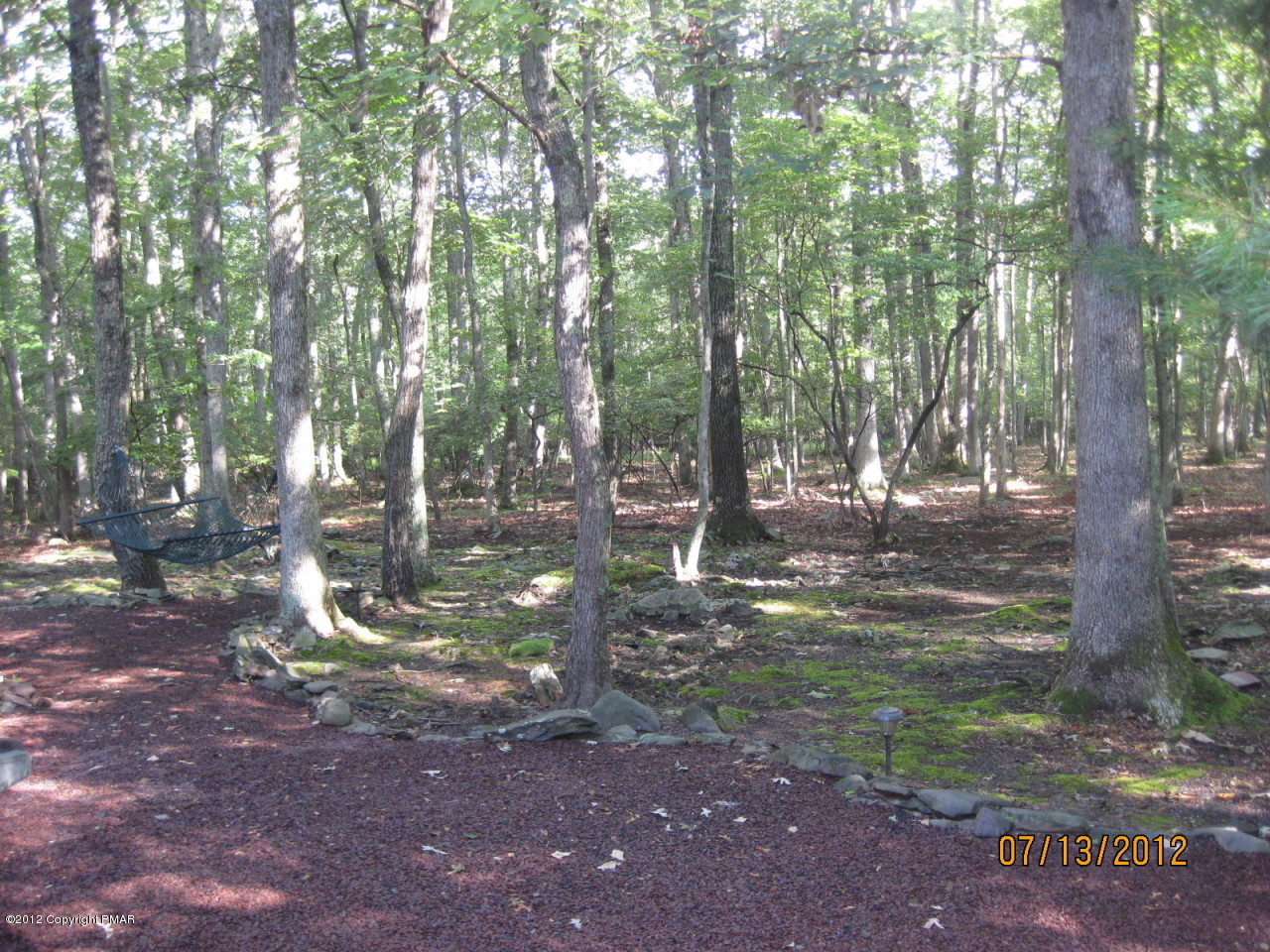 116 Grouse Road East Stroudsburg, PA 18301 - Photo 26 of 31 a view of a tree in the middle of a yard