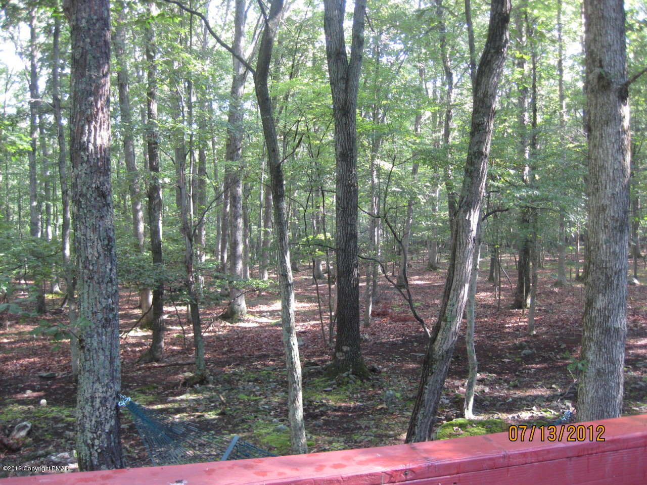 116 Grouse Road East Stroudsburg, PA 18301 - Photo 30 of 31 a view of a forest filled with trees