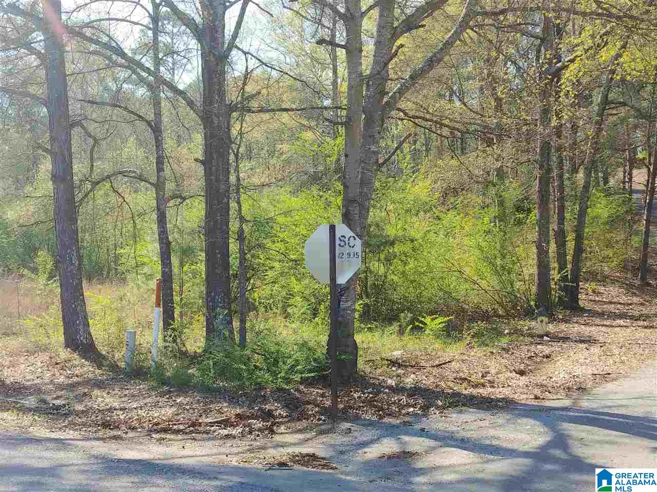 0 Roberts Mill Pond Road, Unit 1 39 Pell City, AL 35128 - Photo 23 of 29