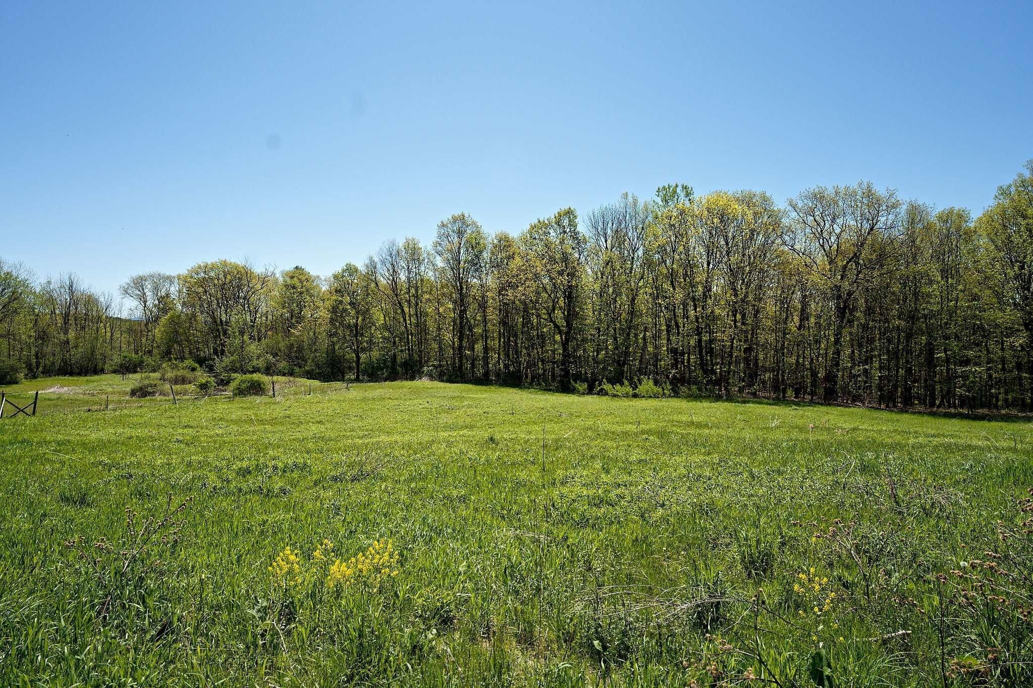178 Belle Road Buskirk, NY 12028 - Photo 44 of 61 Photo 44