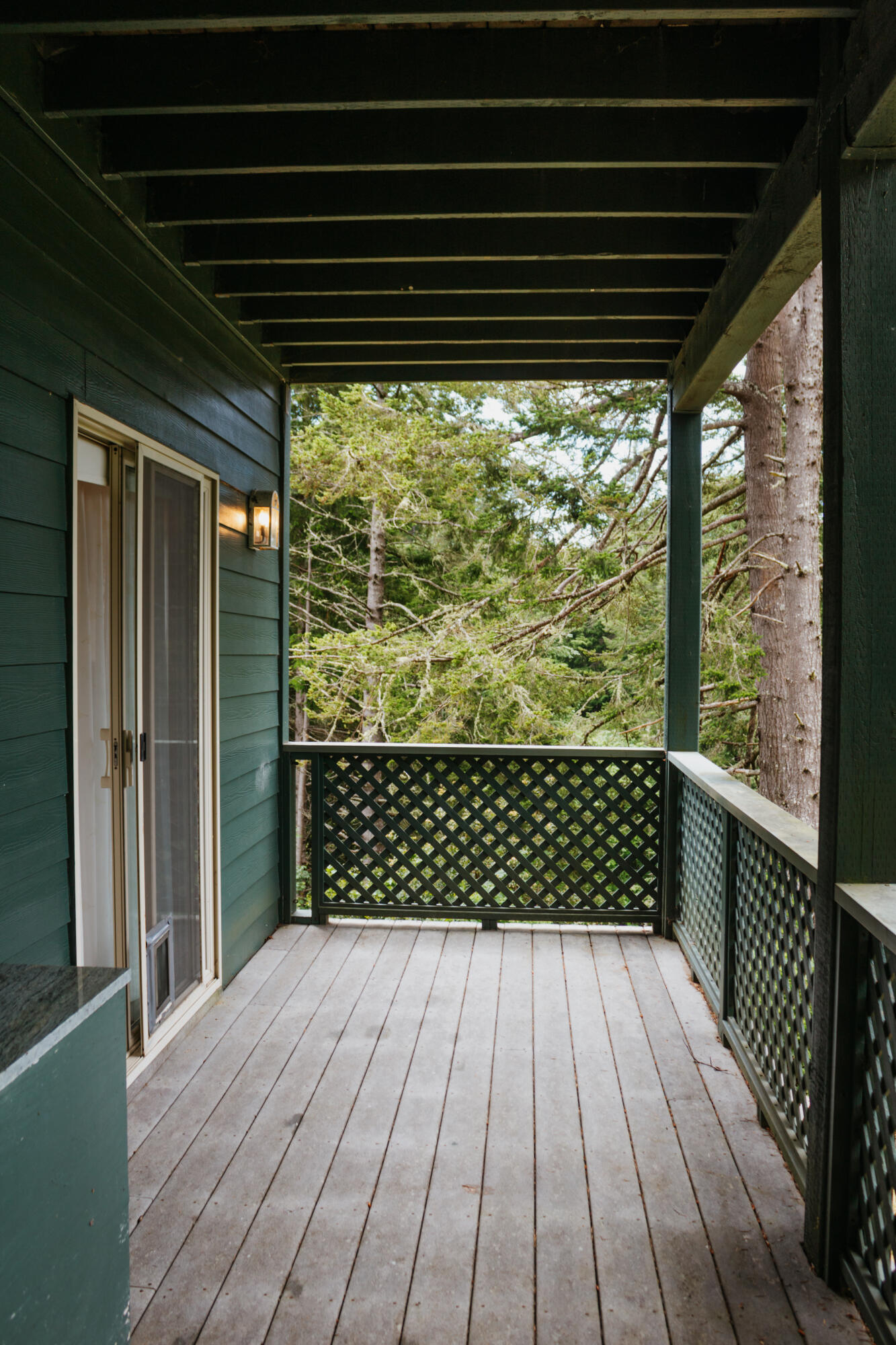 524 Spring Road Shelter Cove, CA 95589 - Photo 41 of 60 Deck Off Of Primary