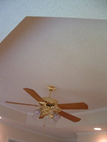 207 Pack Ridge Road Taylors, SC 29687 - Photo 7 of 9