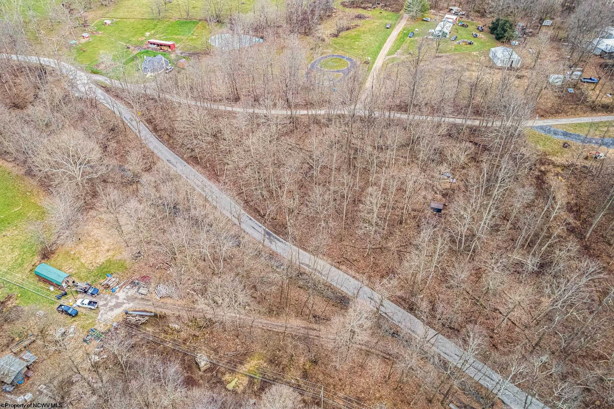 Tbd Coal Lick Road Albright, WV 26519 - Photo 3 of 21 Gallery Image 3