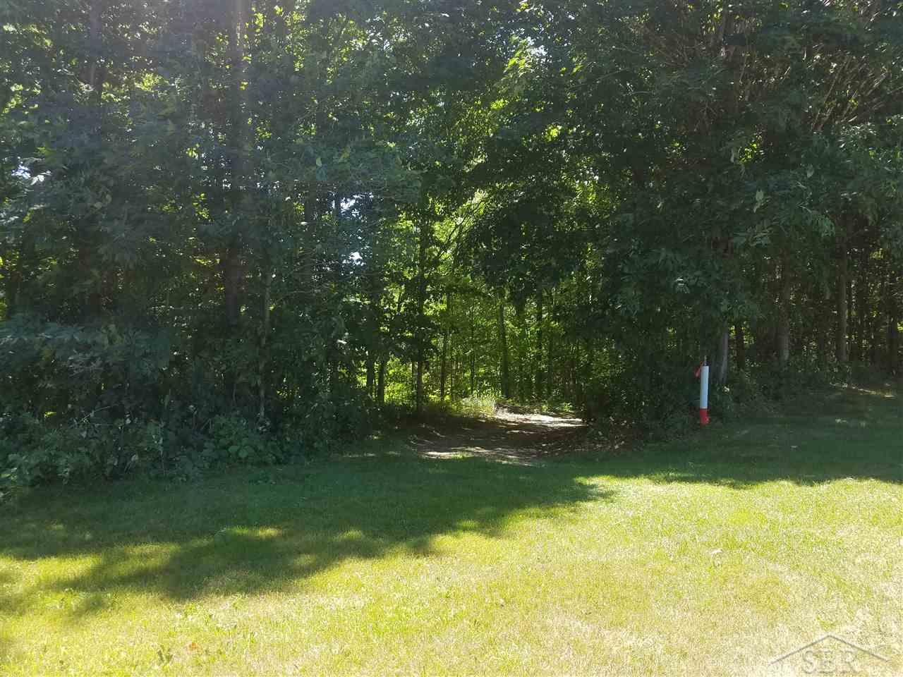 8550 West Tuscola Road Frankenmuth, MI 48734 - Photo 22 of 69