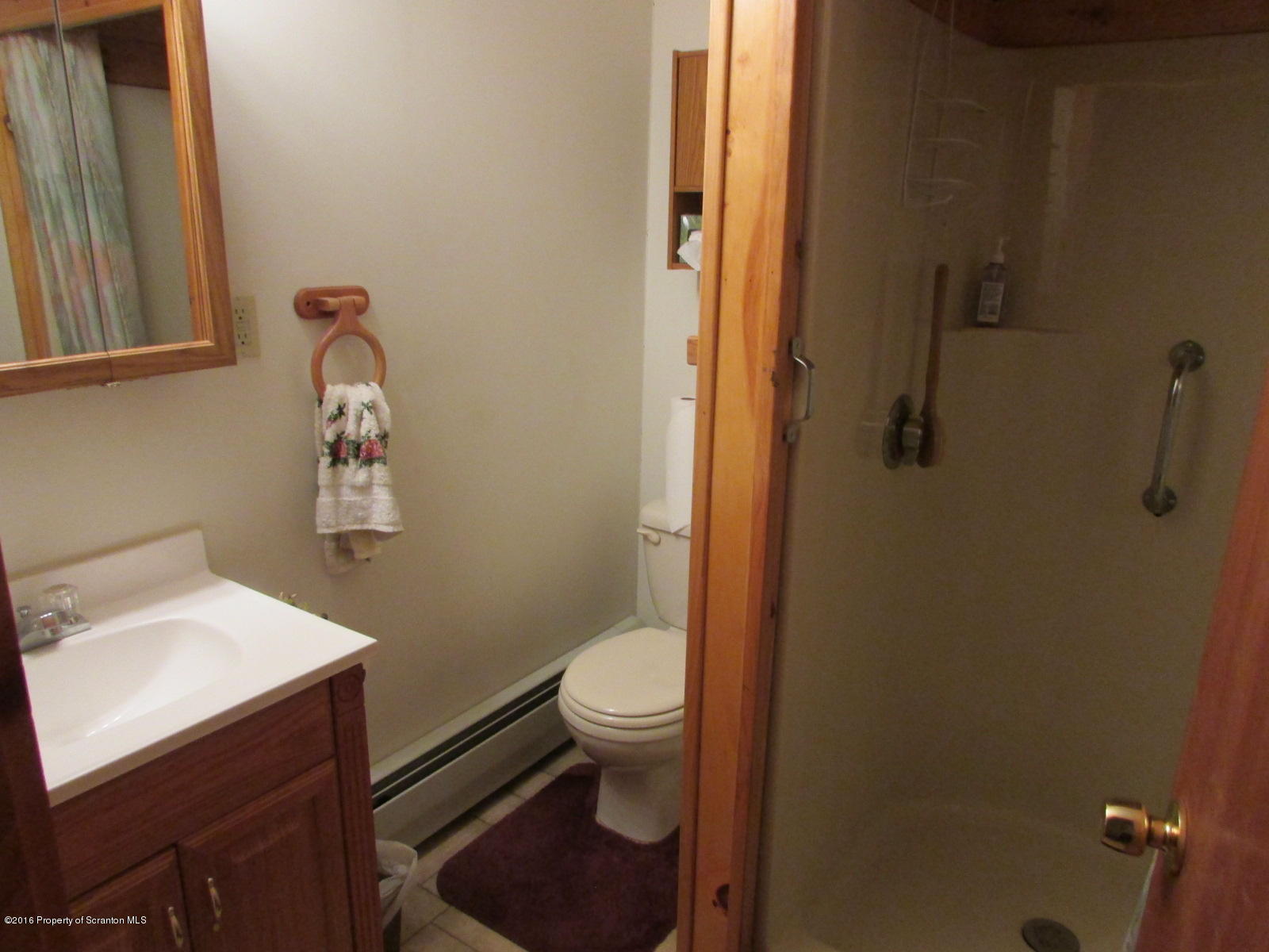 619 Litwin Road Meshoppen, PA 18630 - Photo 7 of 12 a bathroom with a sink a toilet and shower