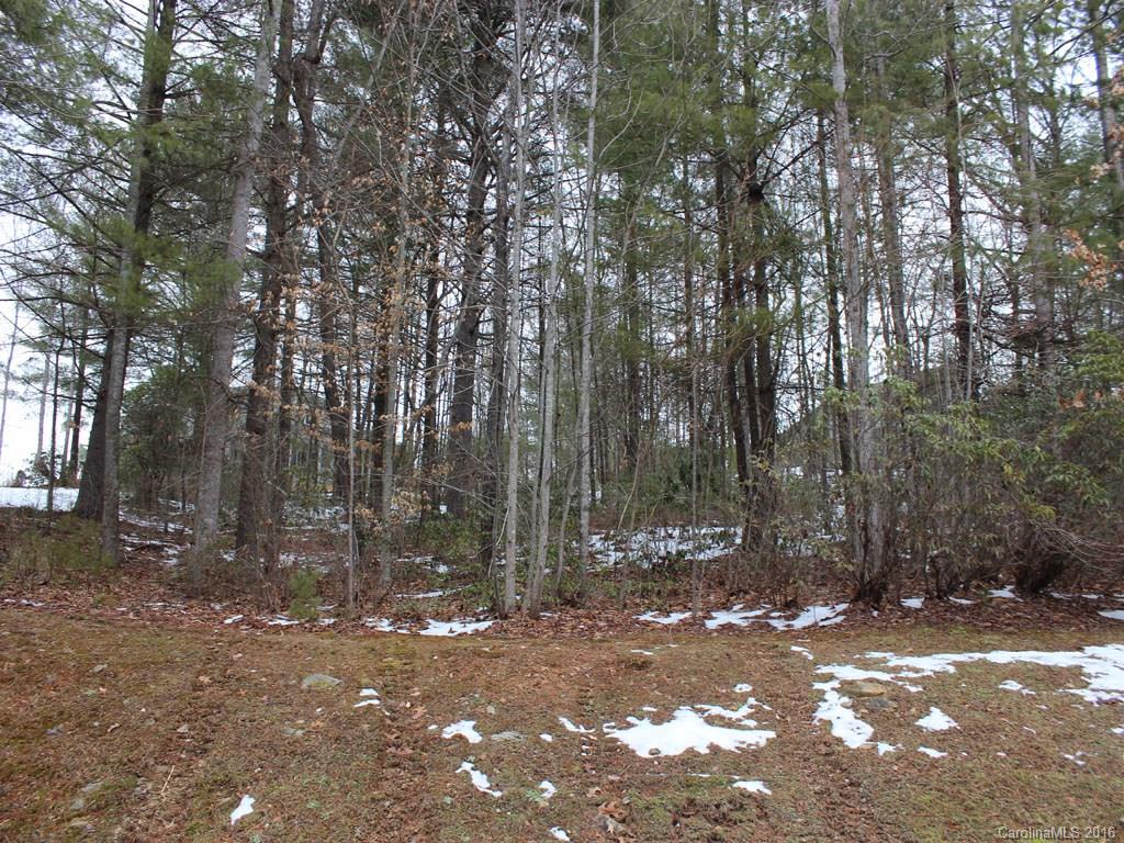 4541 Cove Loop Road, Unit 10 Hendersonville, NC 28739 - Photo 3 of 7 Gallery Image 3