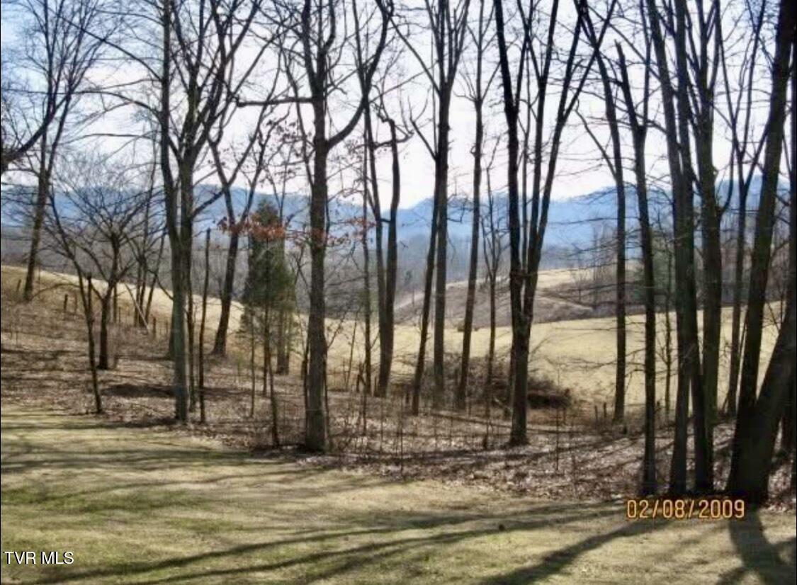 2027 Snowflake Road Gate City, VA 24251 - Photo 54 of 56 IMG_4275