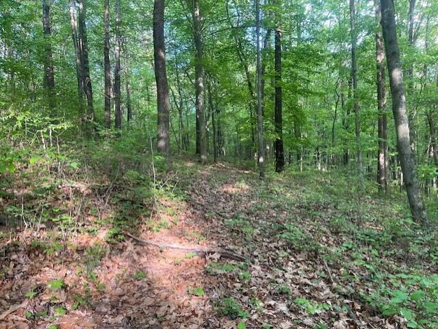 0 Gearing Ridge Road Londonderry, OH 45647 - Photo 16 of 29 thumbnail_IMG_7631