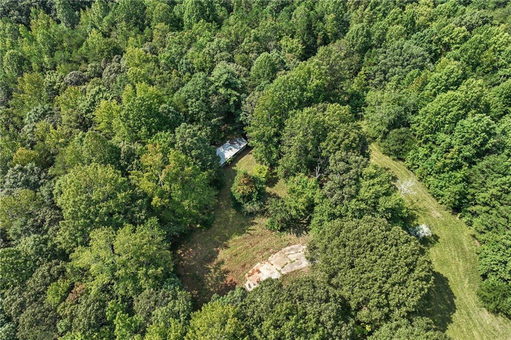 4363 Sardis Road Gainesville, GA 30506 - Photo 12 of 30 a view of a forest with a tree