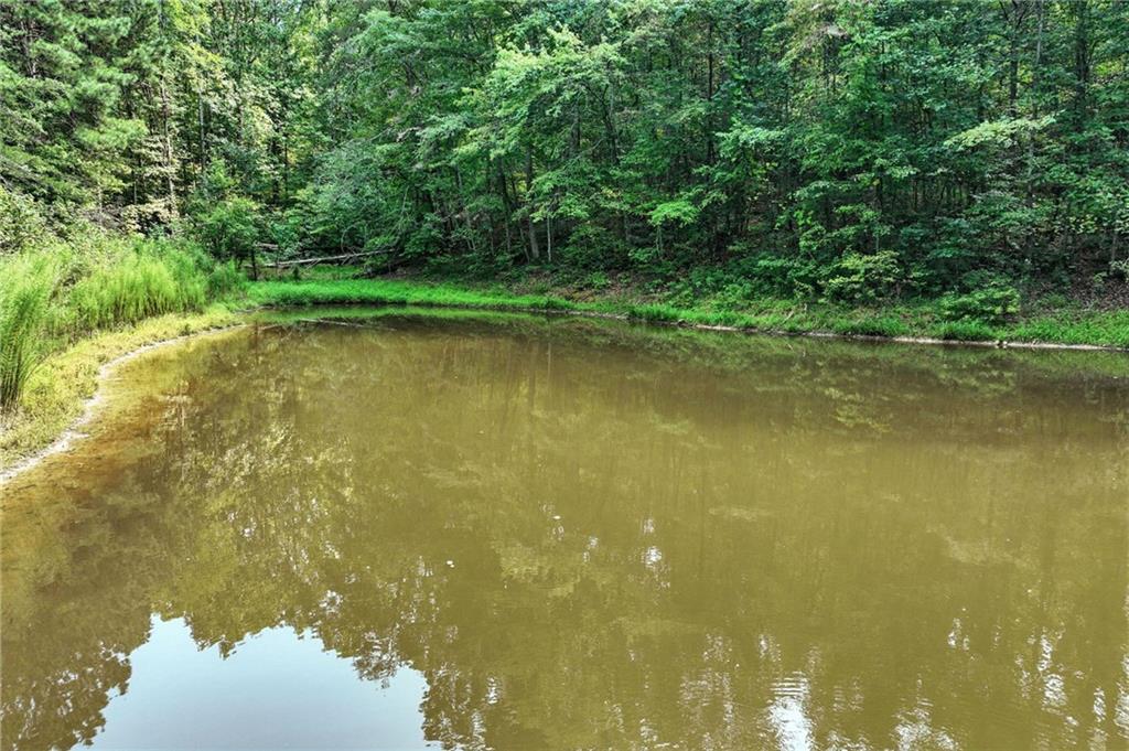 4363 Sardis Road Gainesville, GA 30506 - Photo 15 of 30 a view of a lake view