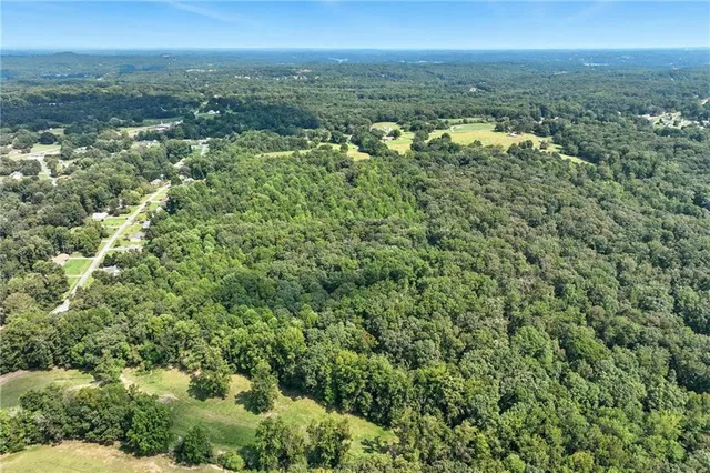 an aerial view of residential houses with outdoor space and trees