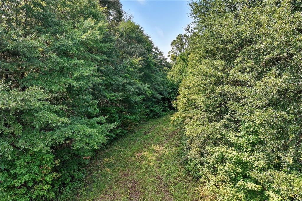 4363 Sardis Road Gainesville, GA 30506 - Photo 24 of 30 a view of a lush green forest