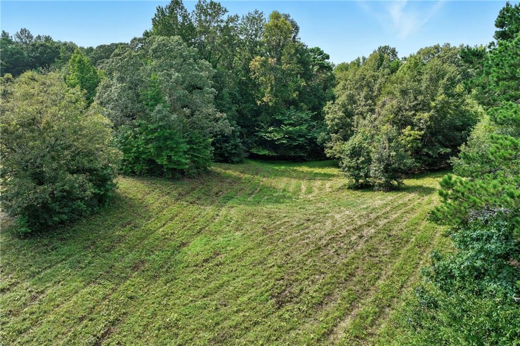 4363 Sardis Road Gainesville, GA 30506 - Photo 26 of 30 a view of a lush green space