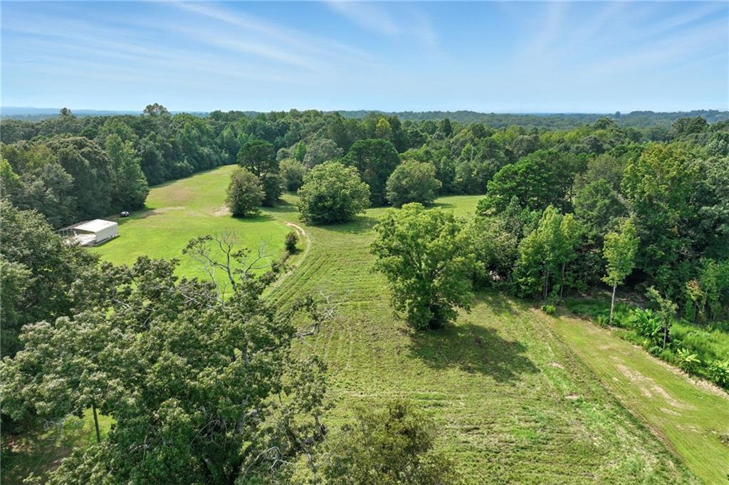 4363 Sardis Road Gainesville, GA 30506 - Photo 29 of 30 a view of a lush green forest with lots of trees